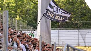 Fans der SV Elversberg schwenken eine Fahne mit der Aufschrift „Die Elv“ im Stadion (Foto: IMAGO / Fussball-News Saarland)