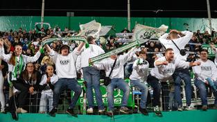 Fans des FC 08 Homburg im Waldstadion (Foto: IMAGO / Eibner)
