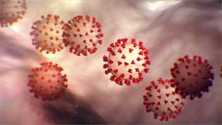 Illustration des Coronavirus (Foto: Imago Images/ZumaPress)