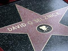 Der Stern für den Filmproduzenten David O'Selznick auf dem "Walk of Fame" in Hollywood (Foto: IMAGO Images / Mary Evans / Allstar / Graham / Whitby / Boot 12976266)