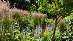 Garten-Reitgras (Calamagrostis x acutiflora „Karl Foerster“) im insektenfreundlichen Garten (Foto: Bastian Langhirt)