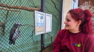 Tierpflegerin Jana Lieblang sitzt vor einem Papagei (Foto: SR/Julia Becker-Maleska)