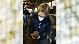 Jennifer Knur-Schmidt in der Wildtier-Auffangstation in in Eppelborn, mit einem ihrer Igel-Schützlinge (Foto: SR/Julia Becker)