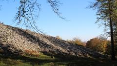 Der Keltenring von Otzenhausen (Foto: Christine Niessen)