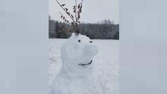 Knollennase-Loriot-Schneemann von Kerstin Altmeier  (Foto: Kerstin Altmeier)