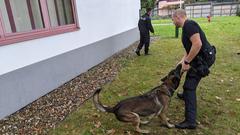 Kommissar Lasse und sein Hund Roki: Nach der Arbeit wird zur Belohnung gespielt (Foto: SR/Christoph Borgans)