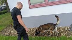 Polizeihund Roki beim Schnüffeln nach dem Spielen (Foto: SR/Christoph Borgans)