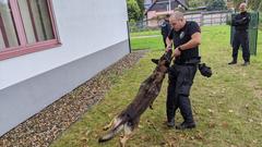 Kommissar Lasse beim Zerrspiel mit Polizeihund Roki  (Foto: SR/Christoph Borgans)