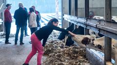 Die SR 3-Landpartie 2017 auf dem Georgshof in Illingen-Uchtelfangen (Foto: Dirk Guldner)