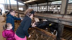 Die SR 3-Landpartie 2017 auf dem Georgshof in Illingen-Uchtelfangen (Foto: Dirk Guldner)