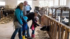 Die SR 3-Landpartie 2017 auf dem Georgshof in Illingen-Uchtelfangen (Foto: Dirk Guldner)