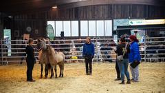 Der SR 3-Landpartie-Tag am 06.10.2019 auf dem Grenzlandhof in Bebelsheim (Foto: SR/Pasquale D'Angiolillo)