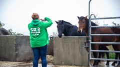 Der SR 3-Landpartie-Tag am 06.10.2019 auf dem Grenzlandhof in Bebelsheim (Foto: SR/Pasquale D'Angiolillo)