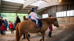 Der SR 3-Landpartie-Tag am 06.10.2019 auf dem Grenzlandhof in Bebelsheim (Foto: SR/Pasquale D'Angiolillo)