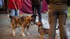 Der SR 3-Landpartie-Tag am 06.10.2019 auf dem Grenzlandhof in Bebelsheim (Foto: SR/Pasquale D'Angiolillo)