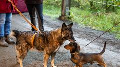 Der SR 3-Landpartie-Tag am 06.10.2019 auf dem Grenzlandhof in Bebelsheim (Foto: SR/Pasquale D'Angiolillo)