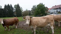 Der SR 3-Landpartie-Tag am 06.10.2019 auf dem Hirzbachhof in Hirzweiler (Foto: SR/Pasquale D'Angiolillo)