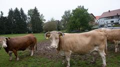 Der SR 3-Landpartie-Tag am 06.10.2019 auf dem Hirzbachhof in Hirzweiler (Foto: SR/Pasquale D'Angiolillo)