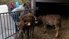 SR 3-Landpartie-Tag 06.10.2019 auf dem Huf-Hof in Eiweiler (Foto: SR/Pasquale D'Angiolillo)