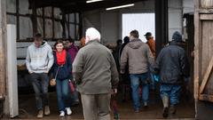 SR 3-Landpartie-Tag 06.10.2019 auf dem Huf-Hof in Eiweiler (Foto: SR/Pasquale D'Angiolillo)