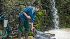 Der SR 3-Landpartie-Tag am 06.10.2019 im Neunkircher Zoo (Foto: SR/D'Angiolillo)