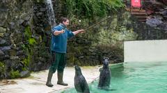 Der SR 3-Landpartie-Tag am 06.10.2019 im Neunkircher Zoo (Foto: SR/D'Angiolillo)