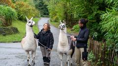 Der SR 3-Landpartie-Tag am 06.10.2019 im Neunkircher Zoo (Foto: SR/D'Angiolillo)