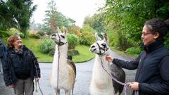 Der SR 3-Landpartie-Tag am 06.10.2019 im Neunkircher Zoo (Foto: SR/D'Angiolillo)