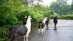 Der SR 3-Landpartie-Tag am 06.10.2019 im Neunkircher Zoo (Foto: SR/D'Angiolillo)