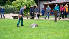 Der SR 3-Landpartie-Tag am 06.10.2019 im Neunkircher Zoo (Foto: SR/D'Angiolillo)