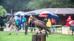 Der SR 3-Landpartie-Tag am 06.10.2019 im Neunkircher Zoo (Foto: SR/D'Angiolillo)