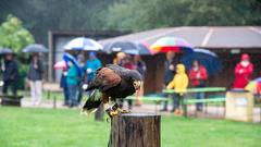 Der SR 3-Landpartie-Tag am 06.10.2019 im Neunkircher Zoo (Foto: SR/D'Angiolillo)