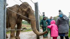 Der SR 3-Landpartie-Tag am 06.10.2019 im Neunkircher Zoo (Foto: SR/D'Angiolillo)