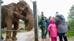 Der SR 3-Landpartie-Tag am 06.10.2019 im Neunkircher Zoo (Foto: SR/D'Angiolillo)