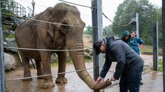 Der SR 3-Landpartie-Tag am 06.10.2019 im Neunkircher Zoo (Foto: SR/D'Angiolillo)