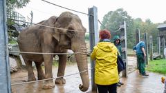 Der SR 3-Landpartie-Tag am 06.10.2019 im Neunkircher Zoo (Foto: SR/D'Angiolillo)