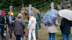 Der SR 3-Landpartie-Tag am 06.10.2019 im Neunkircher Zoo (Foto: SR/D'Angiolillo)