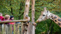 Der SR 3-Landpartie-Tag am 06.10.2019 im Neunkircher Zoo (Foto: SR/D'Angiolillo)