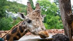 Der SR 3-Landpartie-Tag am 06.10.2019 im Neunkircher Zoo (Foto: SR/D'Angiolillo)