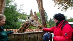 Der SR 3-Landpartie-Tag am 06.10.2019 im Neunkircher Zoo (Foto: SR/D'Angiolillo)