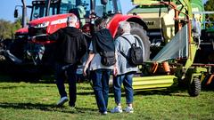 Die SR 3 Landpartie 2023 bei der Bliesgau Schäferei Ernst (Foto: SR/Dirk Guldner)