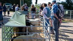 Die SR 3 Landpartie 2023 auf dem Dösterhof bei Wadern (Foto: SR/Pasquale D'Angiolillo)