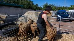 Die SR 3 Landpartie 2023 auf dem Dösterhof bei Wadern (Foto: SR/Pasquale D'Angiolillo)