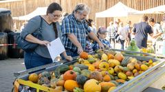 Die SR 3 Landpartie 2023 auf dem Dösterhof bei Wadern (Foto: SR/Pasquale D'Angiolillo)