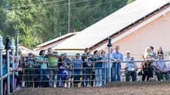 Die SR 3 Landpartie 2023 auf dem Friesengestüt Weihermühle bei Schmelz (Foto: SR/Pasquale D'Angiolillo)