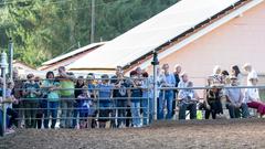 Die SR 3 Landpartie 2023 auf dem Friesengestüt Weihermühle bei Schmelz (Foto: SR/Pasquale D'Angiolillo)