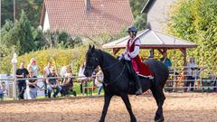 Die SR 3 Landpartie 2023 auf dem Friesengestüt Weihermühle bei Schmelz (Foto: SR/Pasquale D'Angiolillo)