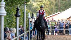 Die SR 3 Landpartie 2023 auf dem Friesengestüt Weihermühle bei Schmelz (Foto: SR/Pasquale D'Angiolillo)