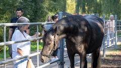 Die SR 3 Landpartie 2023 auf dem Friesengestüt Weihermühle bei Schmelz (Foto: SR/Pasquale D'Angiolillo)