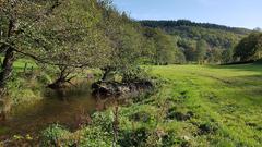Landschaft im Ösling, den Luxemburger Ardennen (Foto: SR)